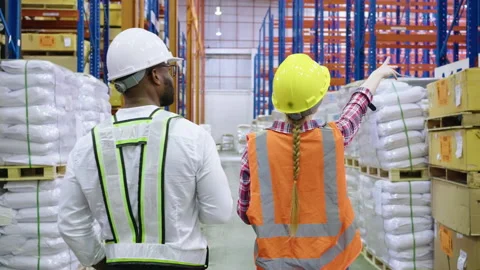 Multi ethnic group of workers inspecting inventory in the distribution warehouse Stock Footage 164238632