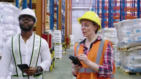Multi ethnic group of workers inspecting inventory in the distribution warehouse Stock Footage 164238645
