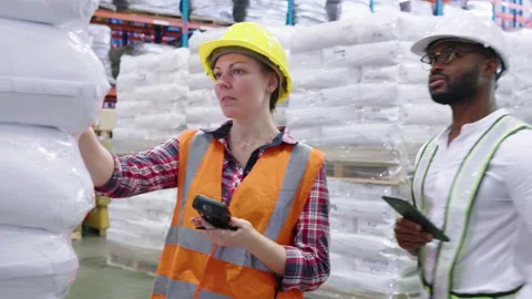 Multi ethnic group of workers inspecting inventory in the distribution warehouse Stock Footage 164238775