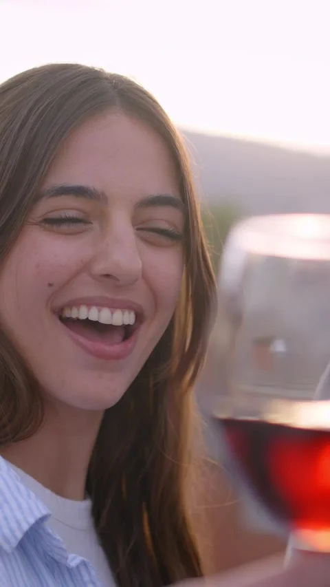 Multi-ethnic group of young people toasting with red wine glasses celebrating Stock Footage 277120328