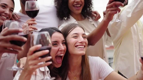 Multi-ethnic laughing young people holding glasses red wine outdoor posing for Stock Footage 274234575