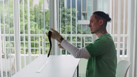 Multi-ethnic Specialist Preparing to Measure Snakes Length Stock Footage 304536886