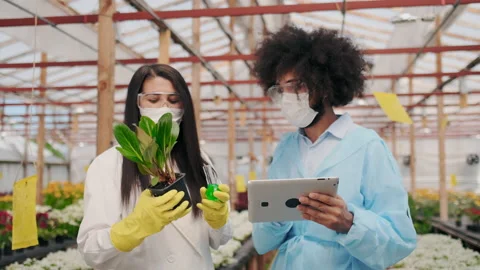 Multi Ethnic Young Scientists Working in Greenhouse or Lab. Pouring Stock Footage 148669985