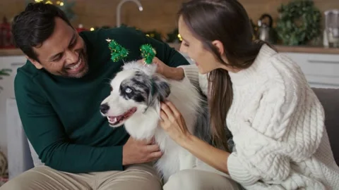 Multi ethnicity couple having fun with dog at Christmas time Stock Footage 218759022