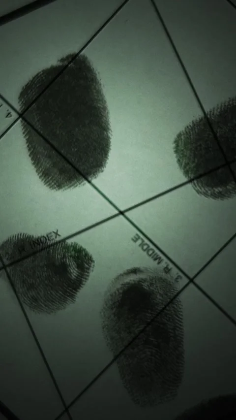 Multi Fingerprint overlays scanning identification data interface Stock Footage 318000766