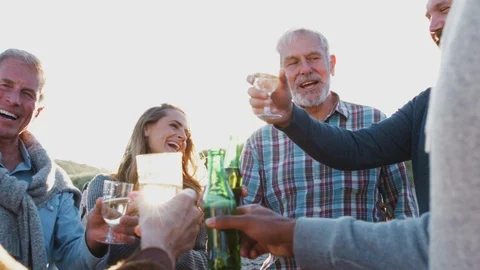 Multi-Generation Adult Family Making A Toast With Alcohol On Winter Beach Stock Footage