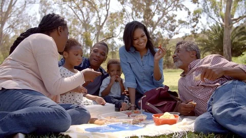 Multi generation family black family eating picnic in a park Stock Footage