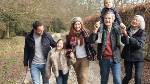 Multi Generation Family On Countryside Walk With Dog Stock Footage
