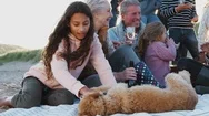 Multi-Generation Family With Dog On Winter Beach Vacation Drinking And Talking Stock Footage