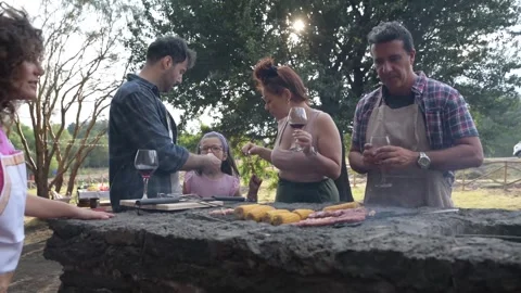 Multi generation family grilling outside backyard in summer garden party Stock Footage 293087929