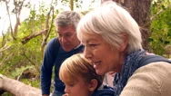 Multi Generation Family With Teenage Kids Walking In Nature Stock Footage