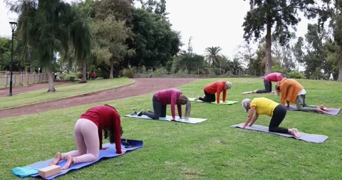 Multi generational people doing yoga exercise outdoor Stock Footage 151682705