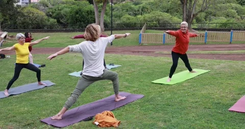 Multi generational people doing yoga class outdoor at park Видео 151682740