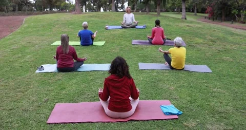 Multi generational people doing yoga class outdoor at park Vídeo Stock 151682766