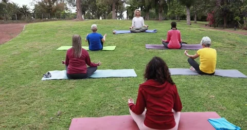 Multi generational people doing yoga class outdoor at park Stock Footage 151682797