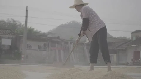 Multi lens slow shooting of the process of farmers. Stock Footage 250228840