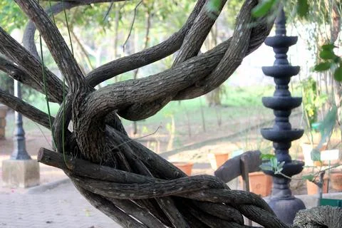 Multi level Deep mala made of single black stone in middle of the garden withalo Stock Photos