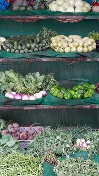 Multi level vegetable shelf loaded with squash, greens, peppers, beets Stock Photos