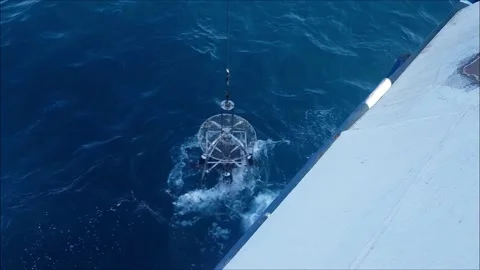 Multi (Multiple) Corer Instrument Video stock 220788513