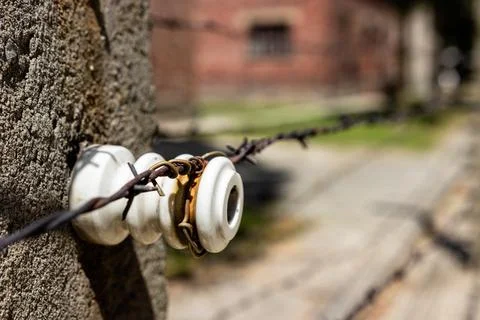 Multi-neck insulator with barbed wire on it. Stock Photos