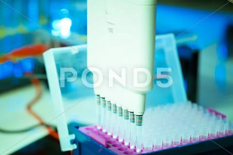 Multi-pipette Stock Photos
