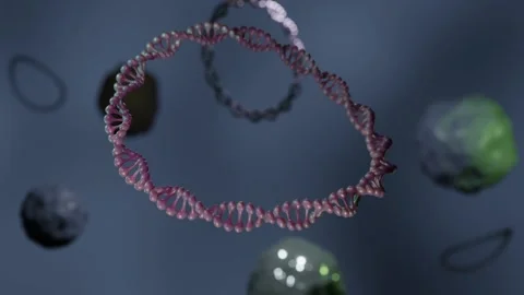 Multi plasmids floating around inside of the cell Stock Footage 249235753