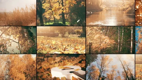 Multi-Screen Autumn Video Wall Background Stock Footage 107971673