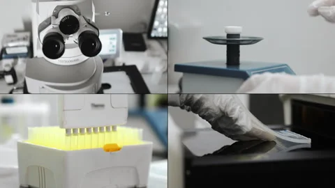 Multi Screen Collage of a genetics laboratory researcher. Stock Footage 313174161