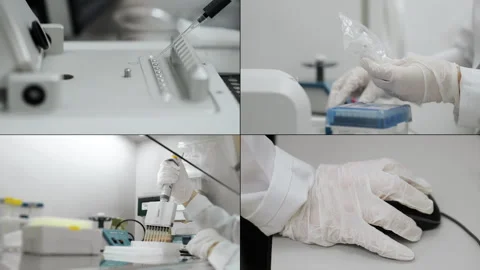 Multi Screen Collage of a genetics laboratory researcher. Stock Footage 313174197