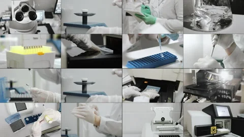 Multi Screen Collage of a genetics laboratory researcher. Stock Footage 313174241