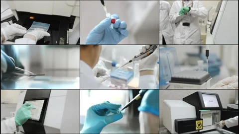 Multi Screen Collage of a genetics laboratory researcher. Stock Footage 313174267