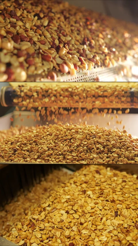 Multi Screen Collage of roasted peanuts on a conveyor belt. Stock Footage 306581658