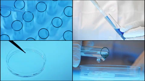 Multi Screen Collage of scientist working in a laboratory. Stock Footage 306818180
