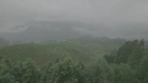 Multi shot and delayed shooting of rice in Longji terraced fields. Video stock 250770035