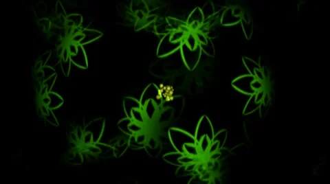 Multi spider galore Stock Footage 4884604