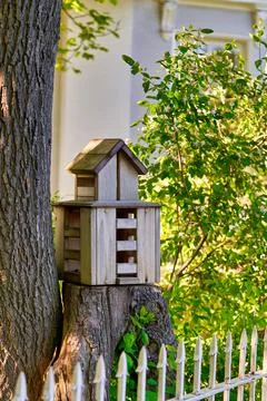 Multi storey bird house on a tree stump in the park Stock Photos