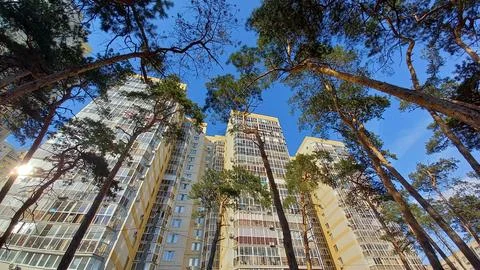 Multi-storey building and trees Stock Photos
