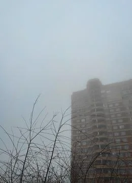 Multi-storey house and a tree in the fog Stock Photos