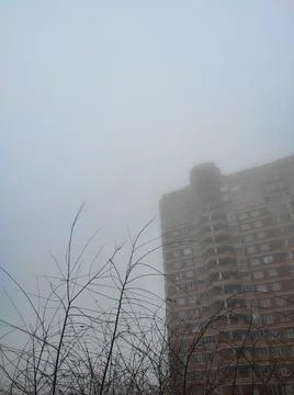Multi-storey house and a tree in the fog Stock Photos