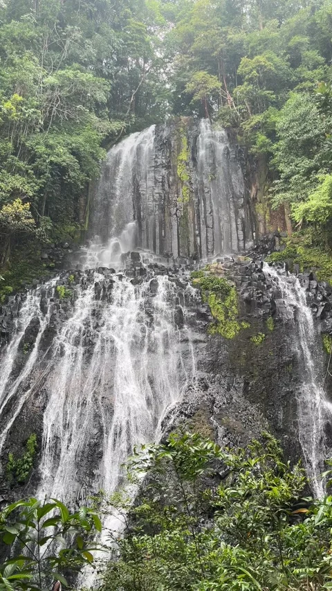 Multi-Stream Waterfall Cascading Over a Tropical Rocky Cliff Stock Footage 344772009