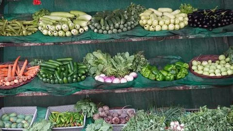 Multi tier shelf of fresh vegetables in market display Stock Photos