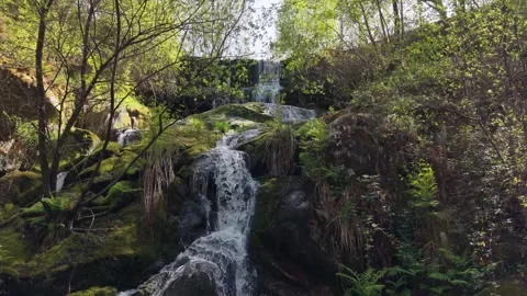 Multi-tiered Cascade Surrounded By Dense Green Vegetation 動画素材 335928131