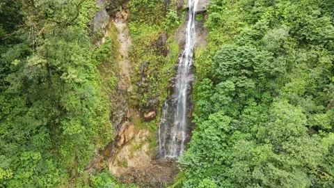Multi Tiered Jungle Waterfall Stock Footage 170710961