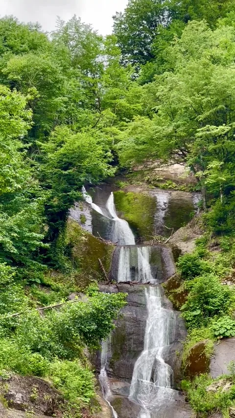 Multi-Tiered Waterfall Amid Lush Green Forest Stock Footage 304884072
