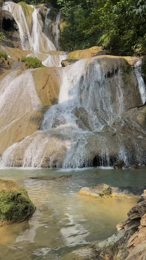 Multi-tiered Waterfall Cascading in Lush Green Jungle, Vertical Pan Up Shot Stock Footage 324090339