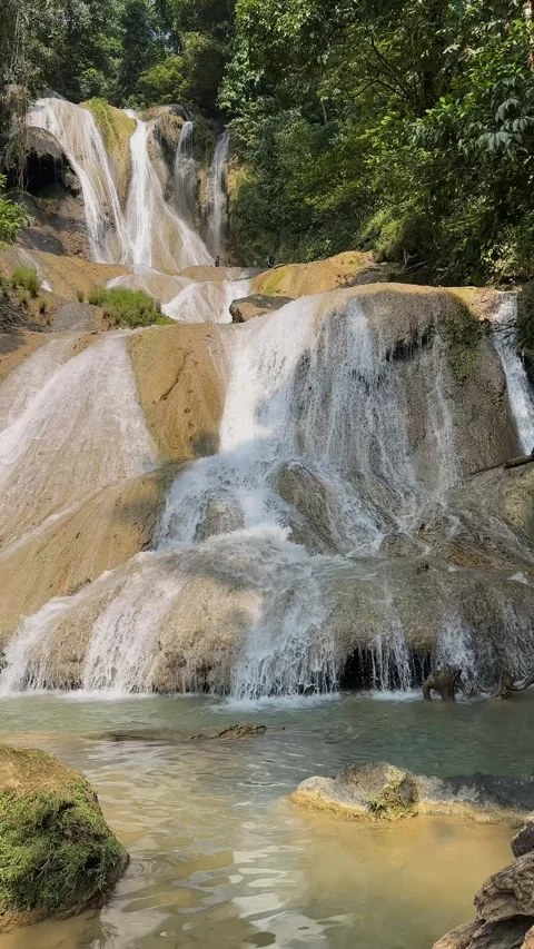 Multi-tiered Waterfall Cascading, Tropical Forest Environment, Upward Panning Sh 스톡 동영상 324090344