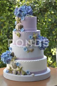 A Multi-Tiered Wedding Cake Decorated With Shells And Hydrangeas