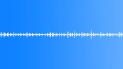Multi-voiced bird singing at dawn in the summer garden 2 Sound Effect