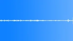 Multi-voiced bird singing at dawn in the summer garden 4Sound Effect