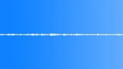 Multi-voiced bird singing at dawn in the summer garden 6Sound Effect
